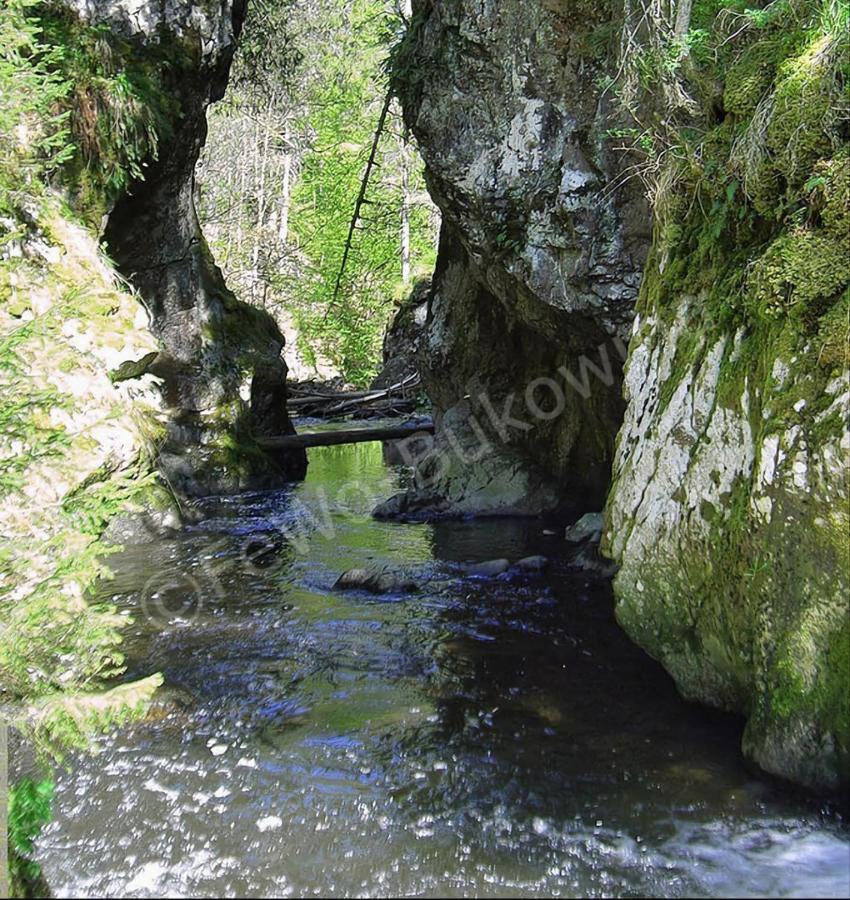 Fewo Bukowina Waldshut-Tiengen Zewnętrze zdjęcie