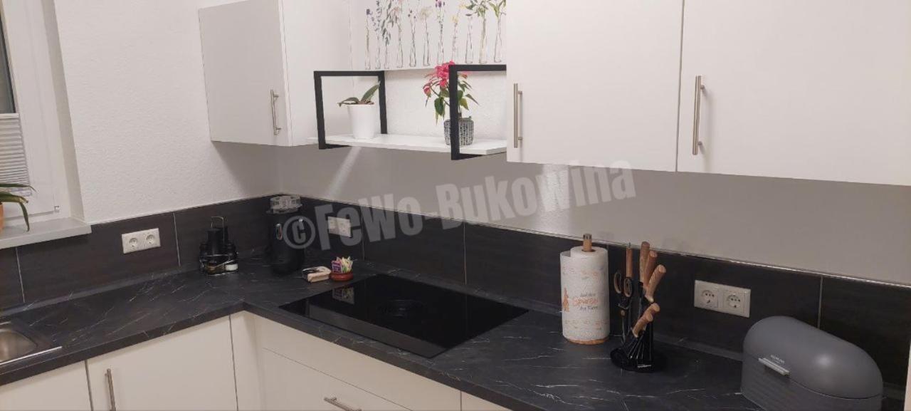 Fewo Bukowina Waldshut-Tiengen Zewnętrze zdjęcie