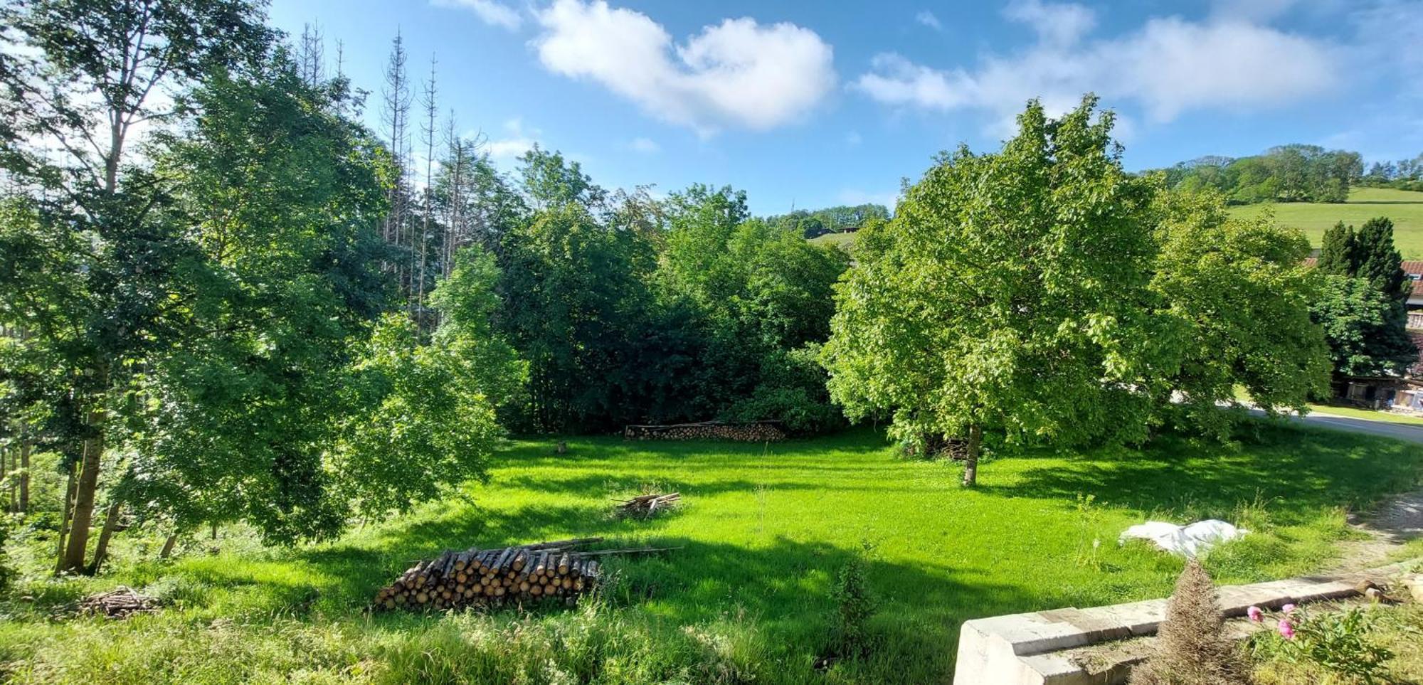 Fewo Bukowina Waldshut-Tiengen Zewnętrze zdjęcie
